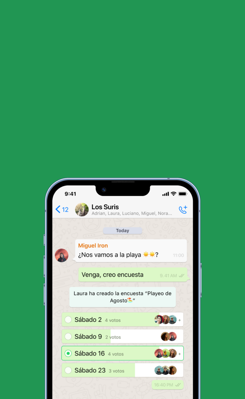 A screenshot of the whatsapp feature